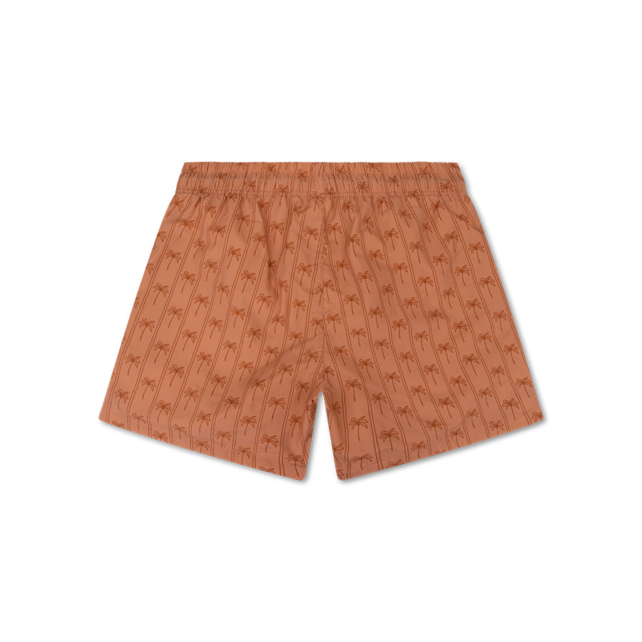 Zwembroek - Bruin - Palm Stripe - Volwassen
