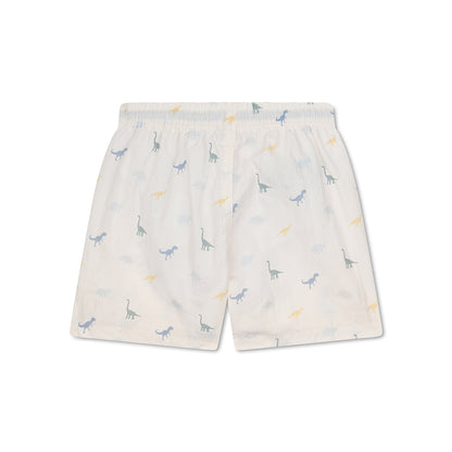 Shorts de baño - Multicolor - Dino