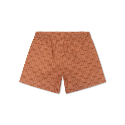 Zwembroek - Bruin - Palm Stripe - Volwassen