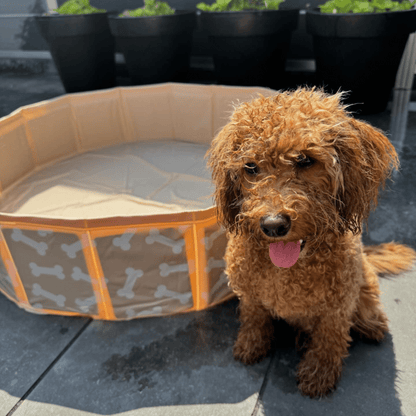Hundepool - Beige - Bonebash - Ø 80 cm